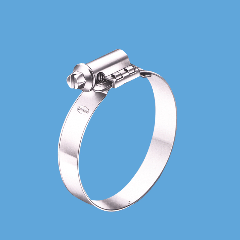 11 015 xxx 德式偏頭式喉箍，12mm帶寬，不銹鋼304鋼帶和箍頭，鐵鍍蘭白鋅螺釘 W2.jpg