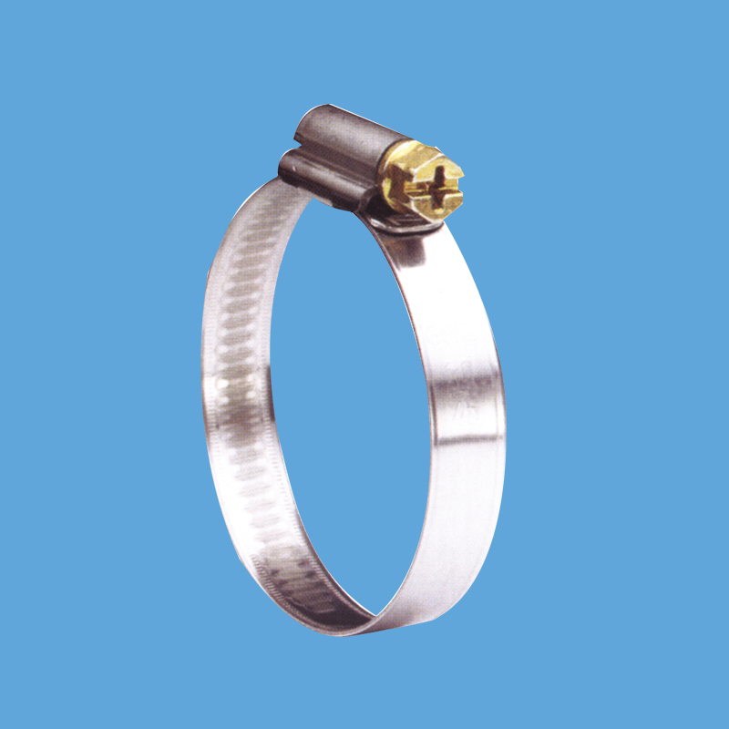 11 019 xxx 德式中間式喉箍，12mm帶寬，不銹鋼430 203鋼帶和箍頭，鍍藍(lán)白鋅螺釘W2.jpg