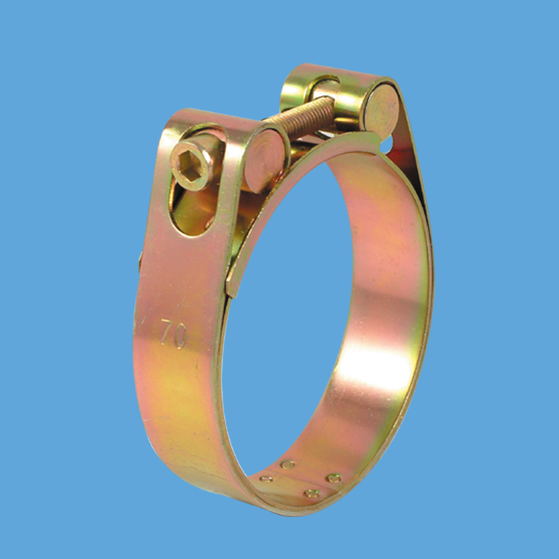 11 057 xxx 單頭內(nèi)六角螺栓強(qiáng)力卡箍，鐵鍍鋅.jpg