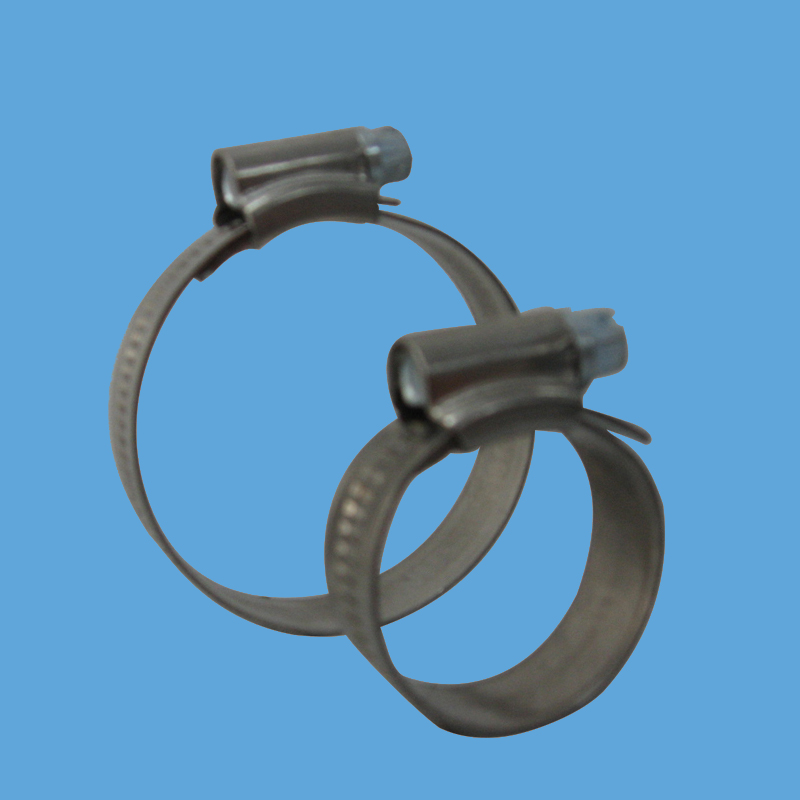 11 115 xxx 英式點焊喉箍，304不銹鋼帶和箍頭，鐵鍍鋅螺釘， 9.7mm 11.7mm帶寬.jpg