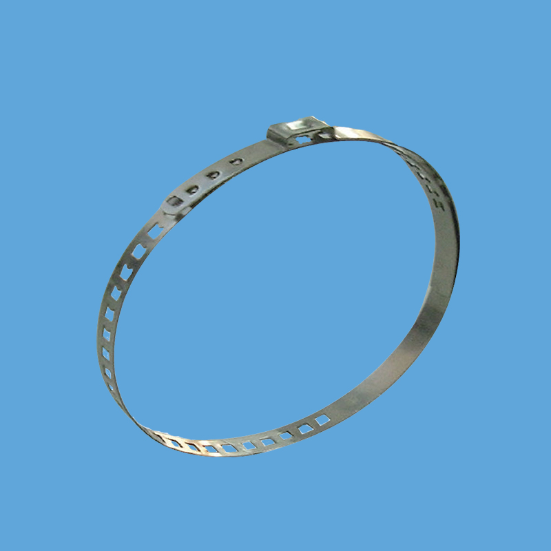 11 137 xxx 單耳不銹鋼可調(diào)喉箍B型.jpg